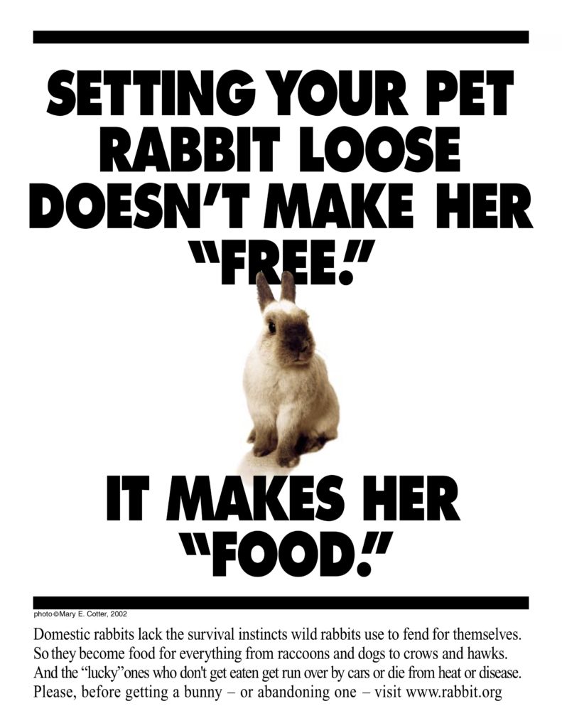 Not free, food.- Long Island Rabbit Rescue Group