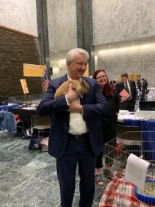 NYS Animal Advocacy Day 2019-Long Island Rabbit Rescue Group