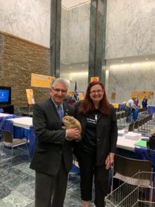 NYS Animal Advocacy Day 2019-Long Island Rabbit Rescue Group