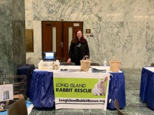 NYS Animal Advocacy Day 2019-Long Island Rabbit Rescue Group