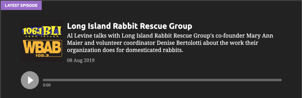 Plugged In To Long Island-Long Island Rabbit Rescue Group