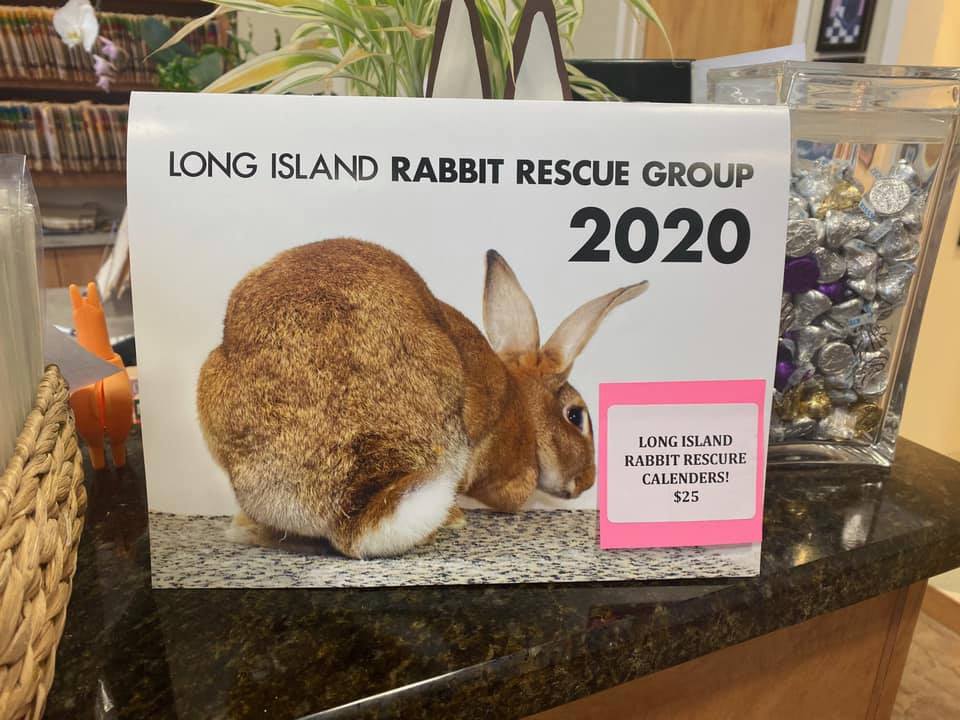 Rabbit Calendar-Long Island Rabbit Rescue Group