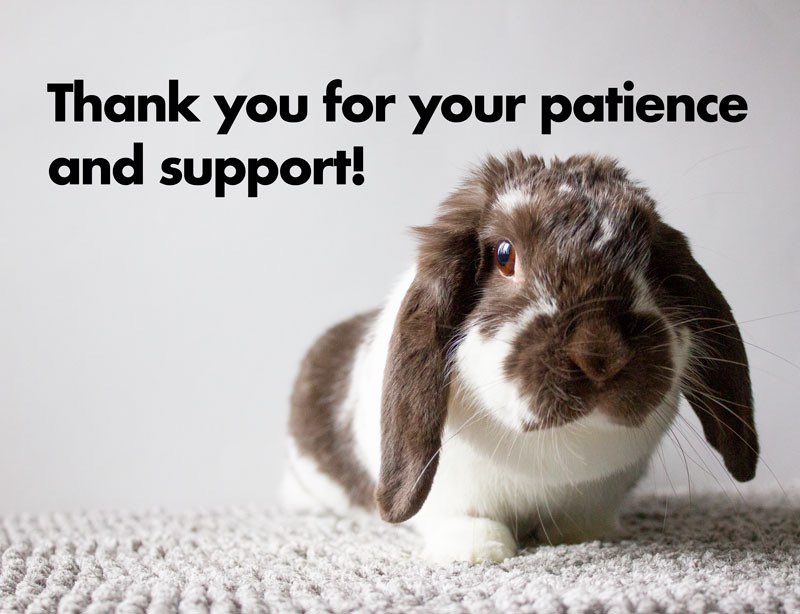 Thank you-Long Island Rabbit Rescue Group