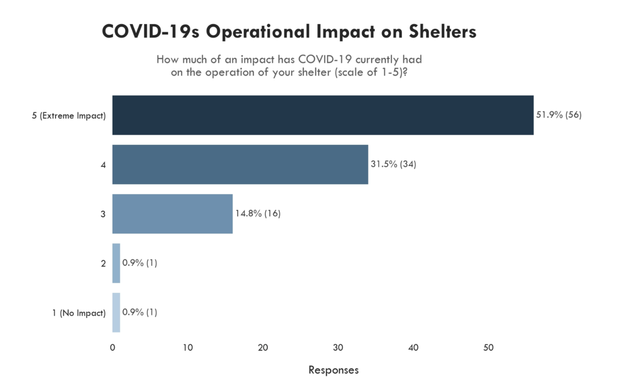 The impact Covid-19 has on shelters and rescue organizations- Long Island Rabbit Rescue Group