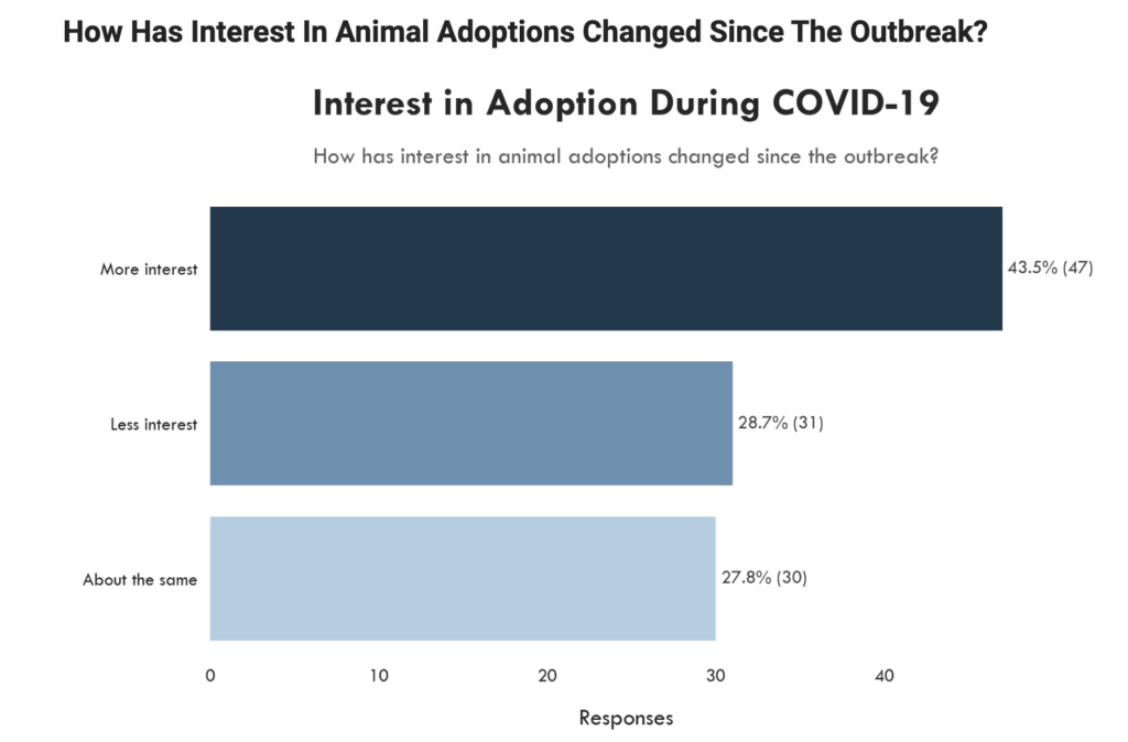 The impact Covid-19 has on shelters and rescue organizations- Long Island Rabbit Rescue Group