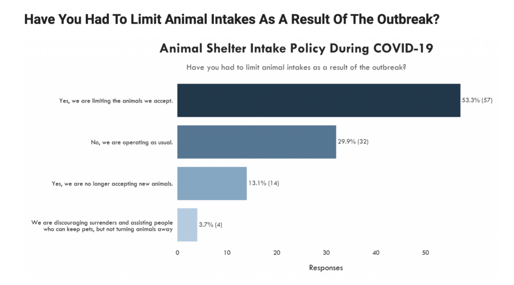 The impact Covid-19 has on shelters and rescue organizations- Long Island Rabbit Rescue Group