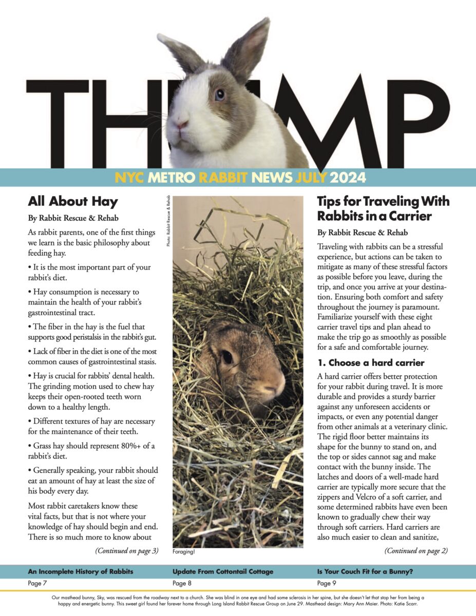 Thump Newsletter July 2024 - Long Island Rabbit Rescue Group