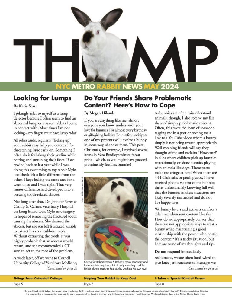 Thump Newsletter May 2024 - Long Island Rabbit Rescue Group